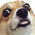 realtypicalalex