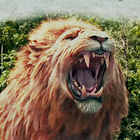 Narnia Secrets