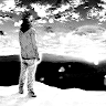 mortezaa44