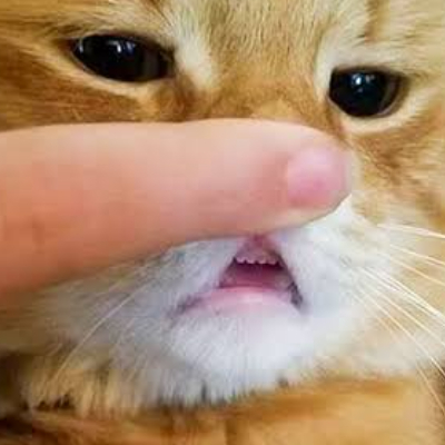 chi