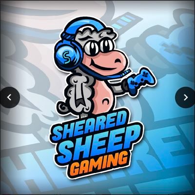 shearedsheep