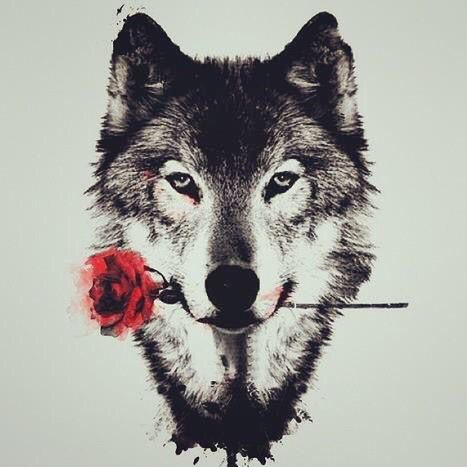 annchy_1572
